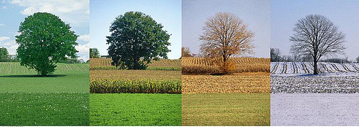 如果玩家反馈积极 《最终幻想16》会考虑制作DLC